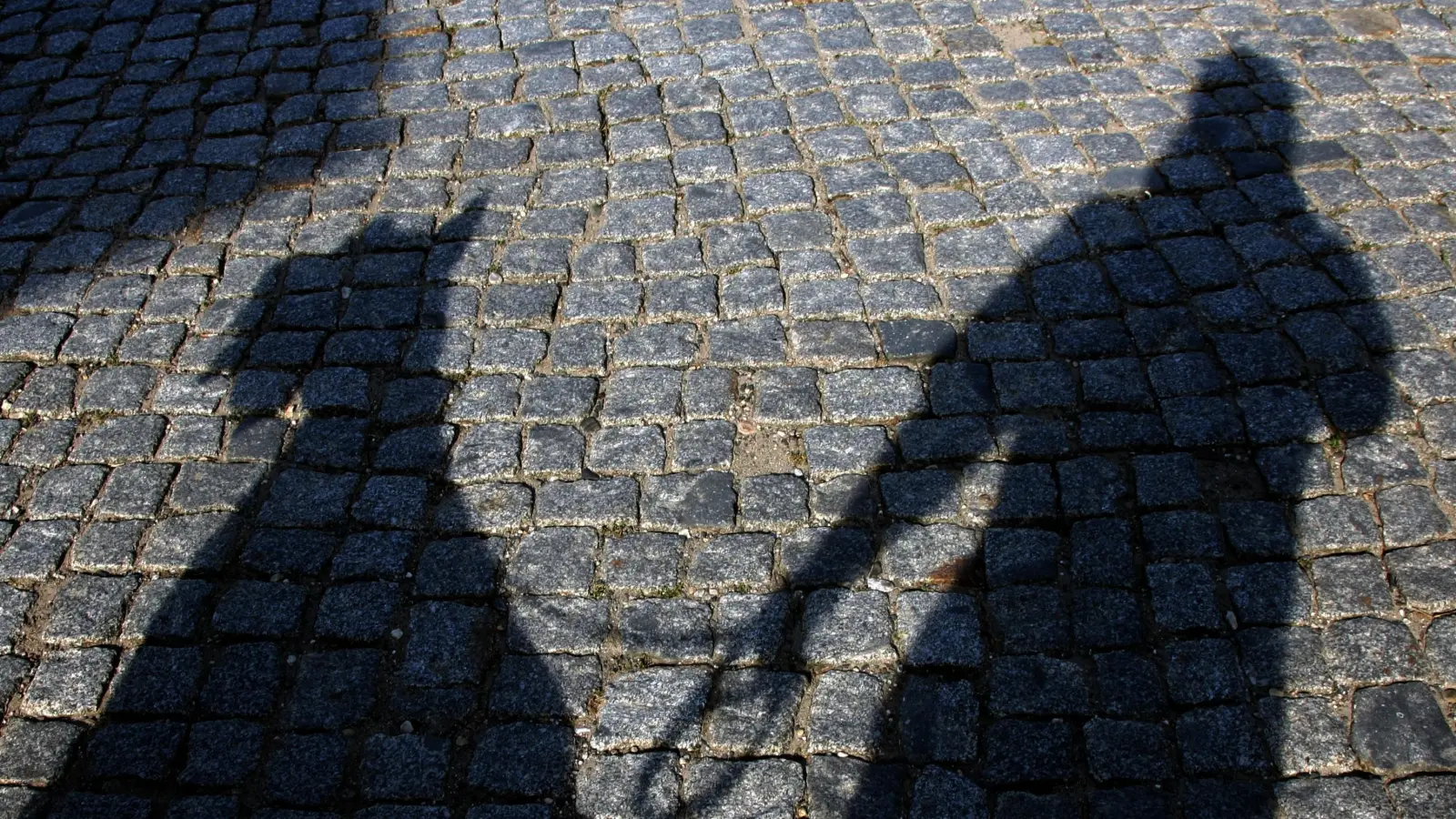 Ein Hund attackierte eine 19-Jährige beim Gassigehen in Amberg.  (Symbolbild: Ralf Hirschberger/dpa)