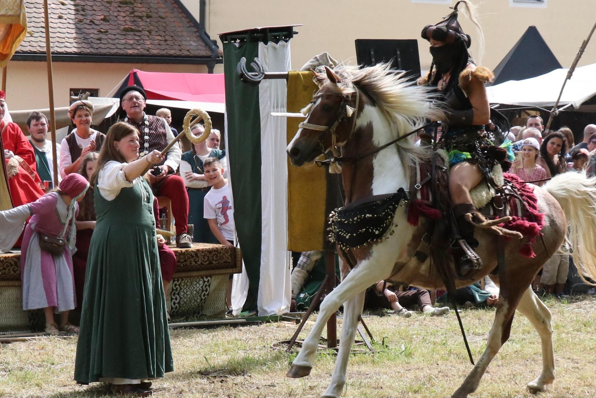 Spannende Schaukämpfe warten auf die Besucher. (Bild: Stefanie Gradl)