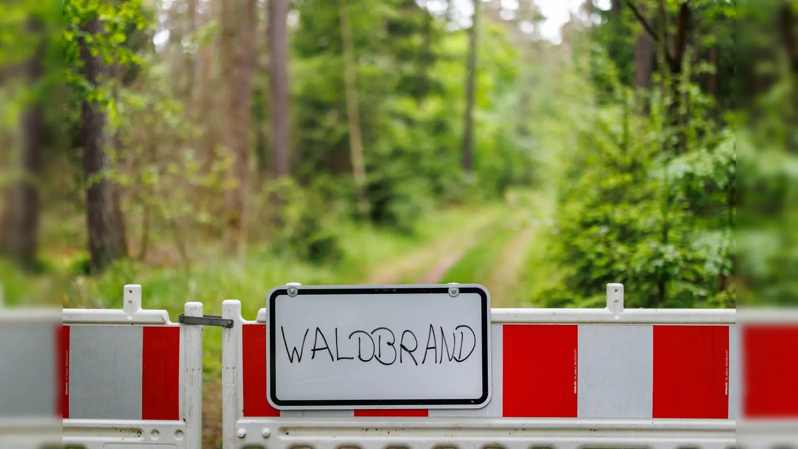 Am späten Samstagvormittag hat es in einem Wald zwischen Massenricht und Dürnast gebrannt. Rund 100 Einsatzkräfte konnten das Feuer aber schnell löschen. (Symbolbild: Daniel Karmann/dpa)