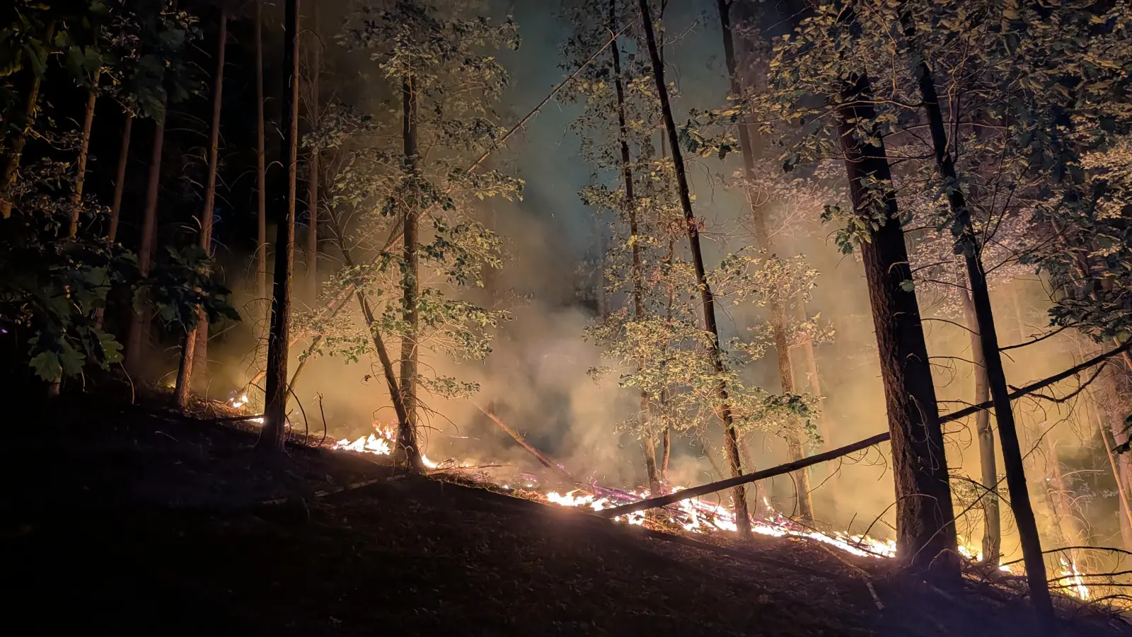 Dienstag gegen 21 Uhr, vier Tage nach dem Ausbruch des Waldbrandes flackern wieder Flammen am Johannisberg. (Bild: Armin Daubenmerkl)