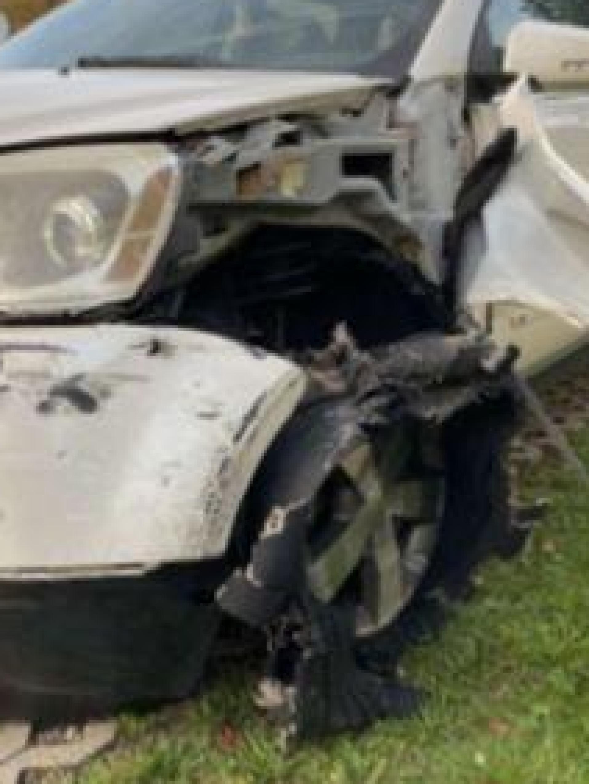 Demolierte Stoßstange, weggerissener Kotflügel, beschädigter Reifen: Nach einer offensichtlich unfallträchtigen Trunkenheitsfahrt stellte eine 39-Jährige ihr Auto so in ihrer Hohenburger Hofeinfahrt ab. (Bild: Polizeiinspektion Amberg/exb)