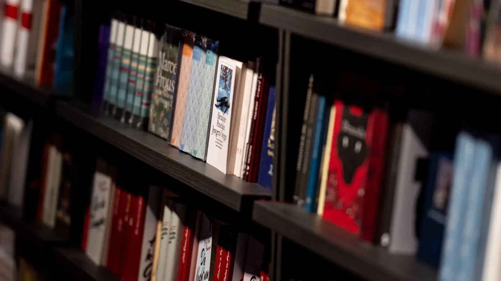 Über 25 Millionen Bücher, die auf der Plattform unter dem Hashtag #BookTok Thema waren, wurden im vergangenen Jahr verkauft.  (Archivbild: Fabian Sommer/dpa)