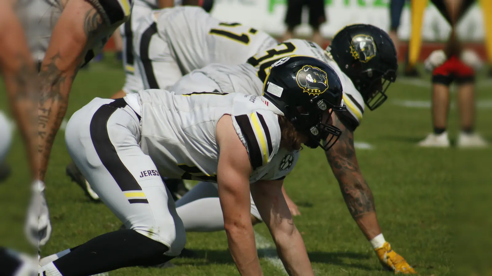 Die Mad Bulldogs geben Talenten die Gelegenheit, sich bei einem Tryout zu präsentieren. (Bild: Michael Sandner )