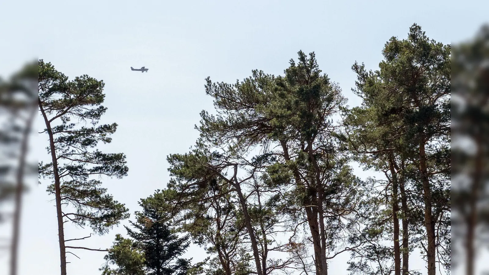 Fast in der gesamten Oberpfalz sind an Pfingsten wegen hoher Waldbrandgefahr Beobachtungsflieger unterwegs. (Symbolbild: Pia Bayer/dpa)