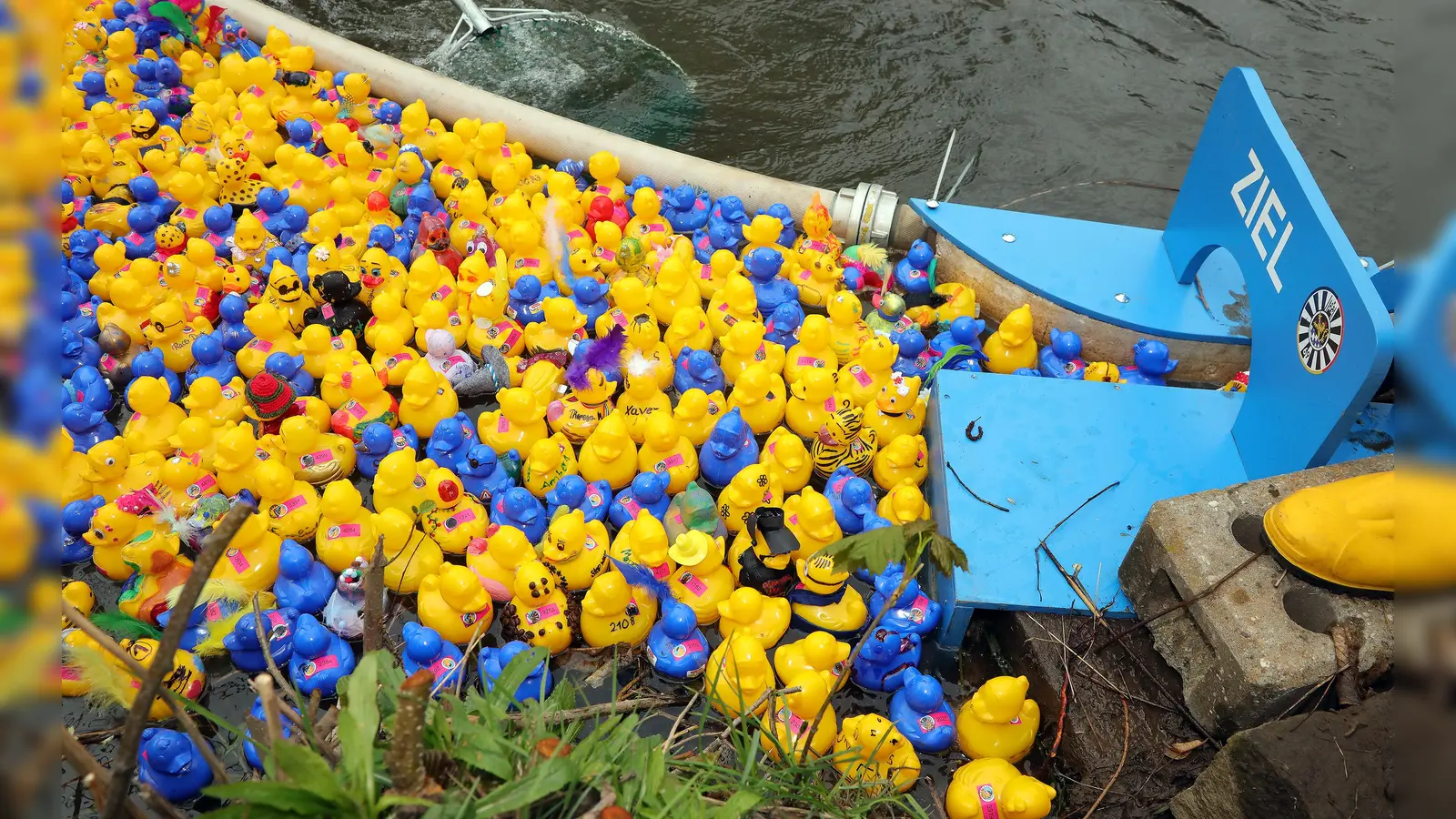 Am Sonntag, 27. April, ist wieder Entenrennen auf der Vils in Amberg. (Archivbild: Wolfgang Steinbacher)