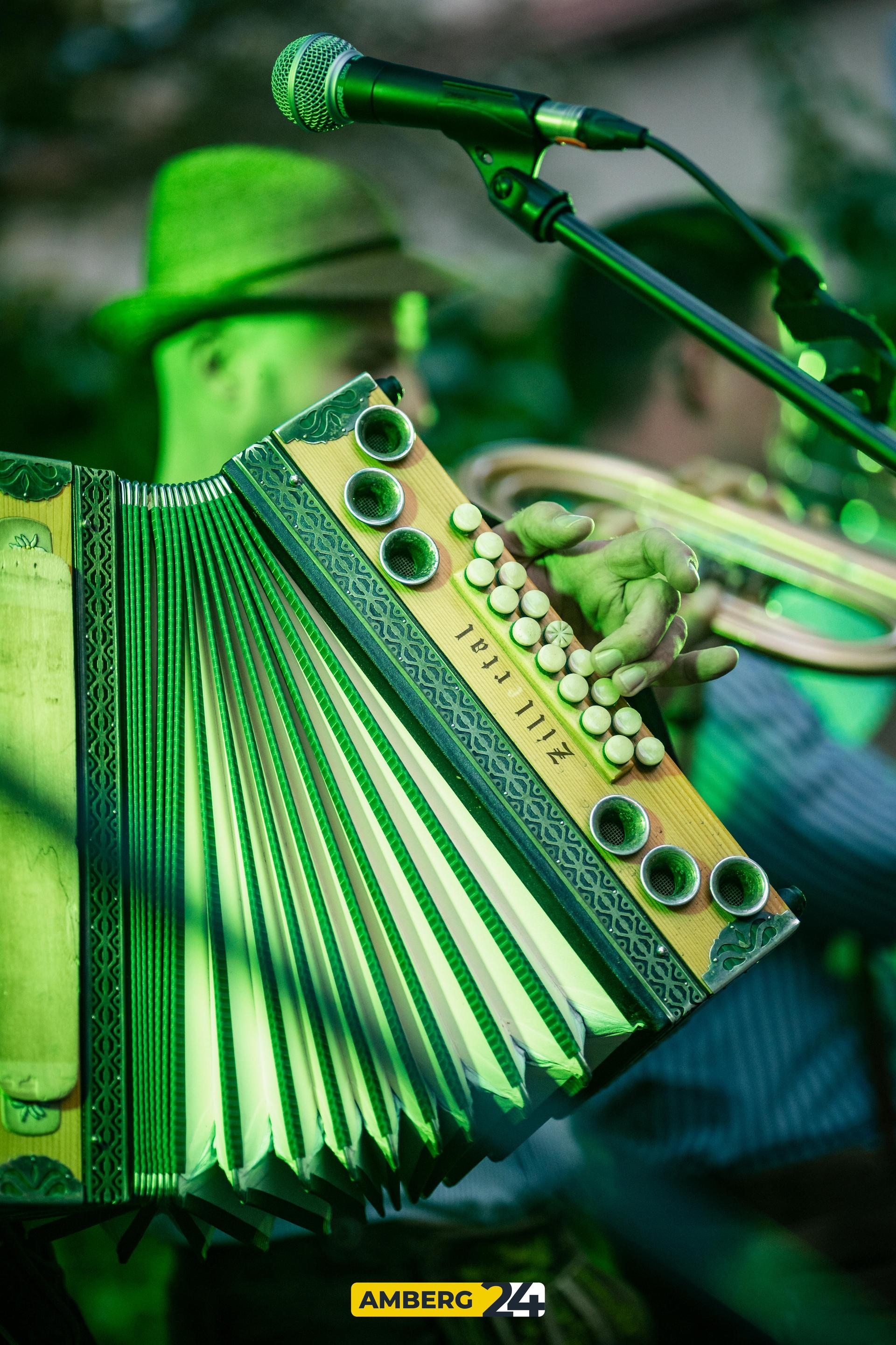 Das sind die Bilder vom Brassfestival im Winkler Biergarten am Donnerstag.  (Bild: Justus Gregor)