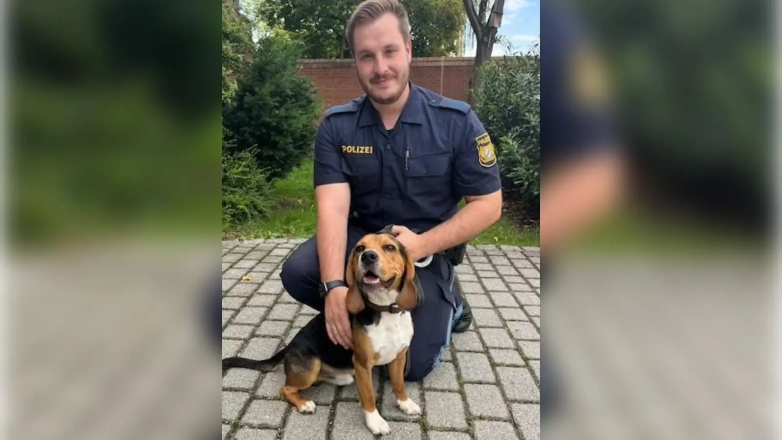 Diesen Beagle haben Beamte der Polizeiinspektion Amberg in Hirschau aus einem aufgeheizten Auto befreit. (Bild: Polizeiinspektion Amberg)