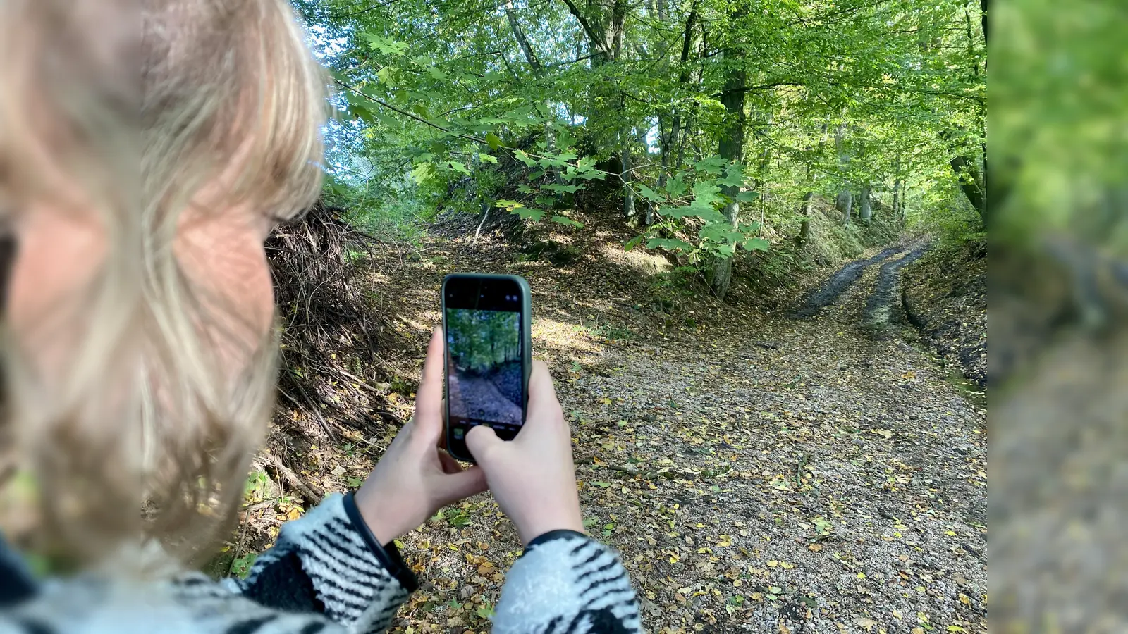 Der Hohlweg, in dem der Täter die Leiche des Buben zum Wald getragen hat. (Bild: upl)