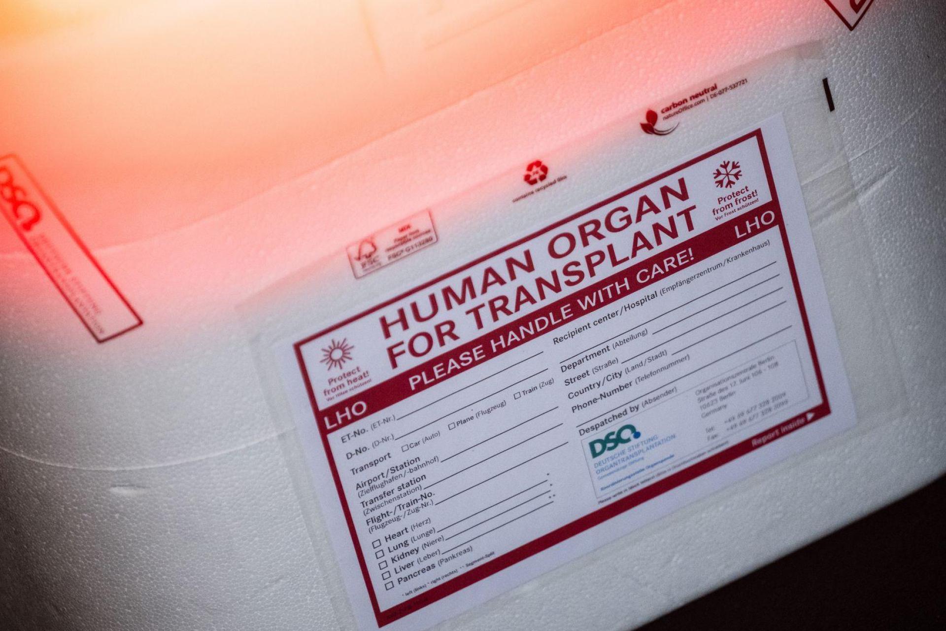 Die Zahl der Organspender in Bayern ist leicht rückläufig. (Symbolbild: Sebastian Gollnow/dpa)