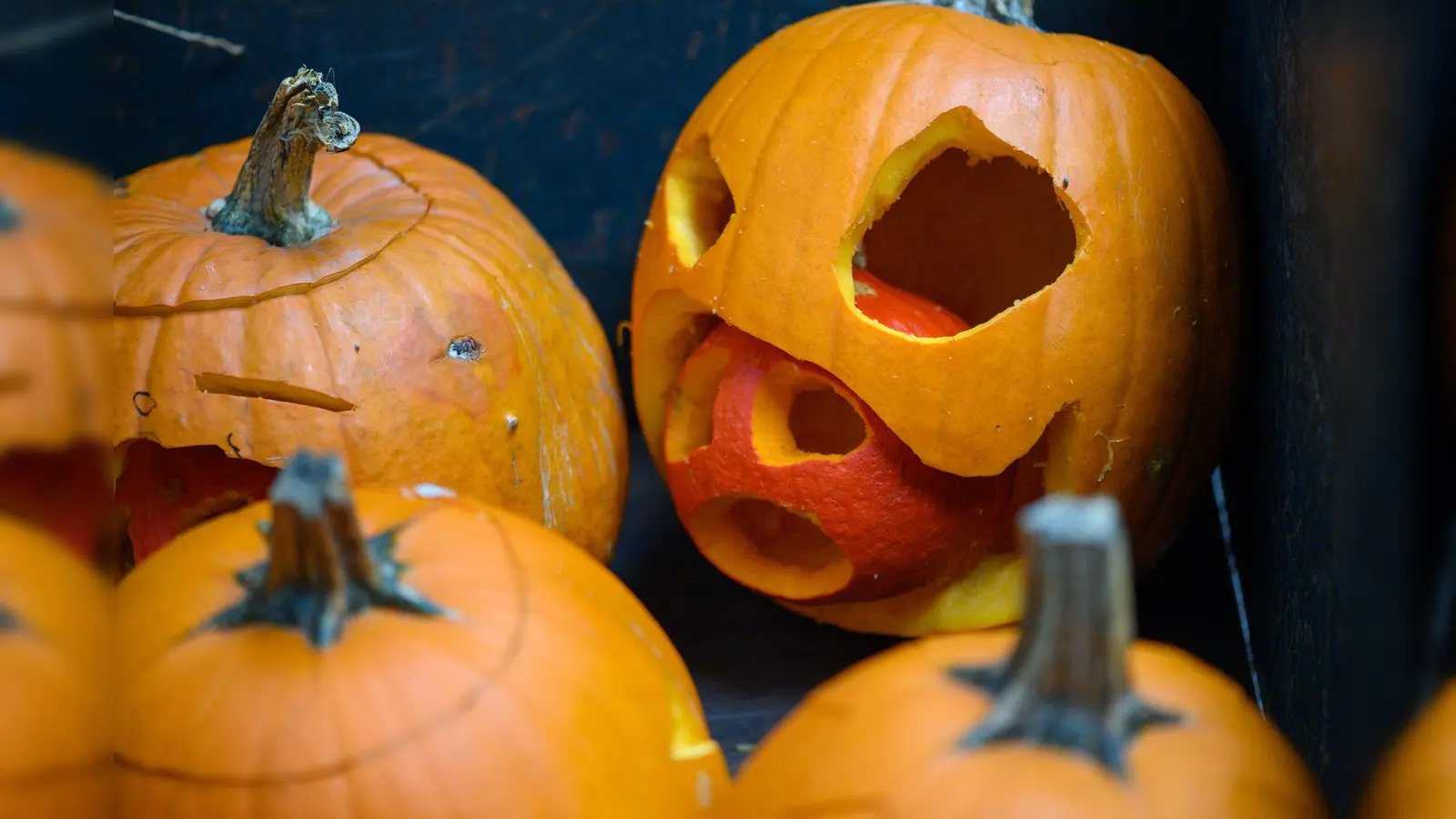 Kürbisse sind aber schon noch cool, oder? (Symbolbild: Klaus-Dietmar Gabbert/dpa-Zentralbild/dpa)