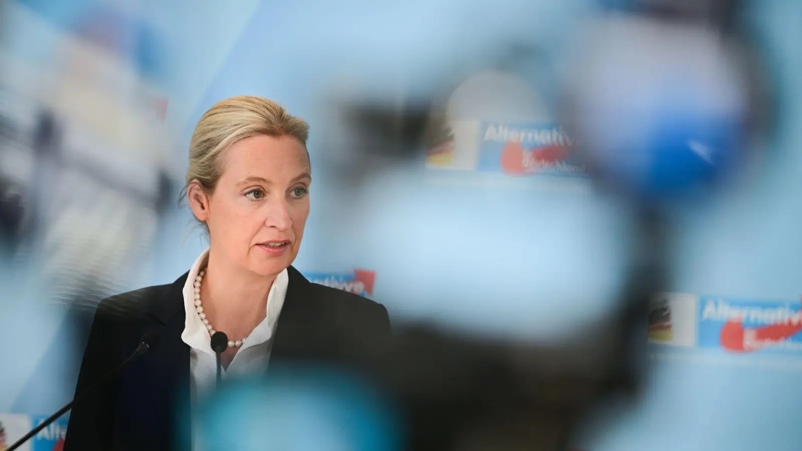 AfD-Chefin Alice Weidel (Bild: Sebastian Christoph Gollnow/dpa)