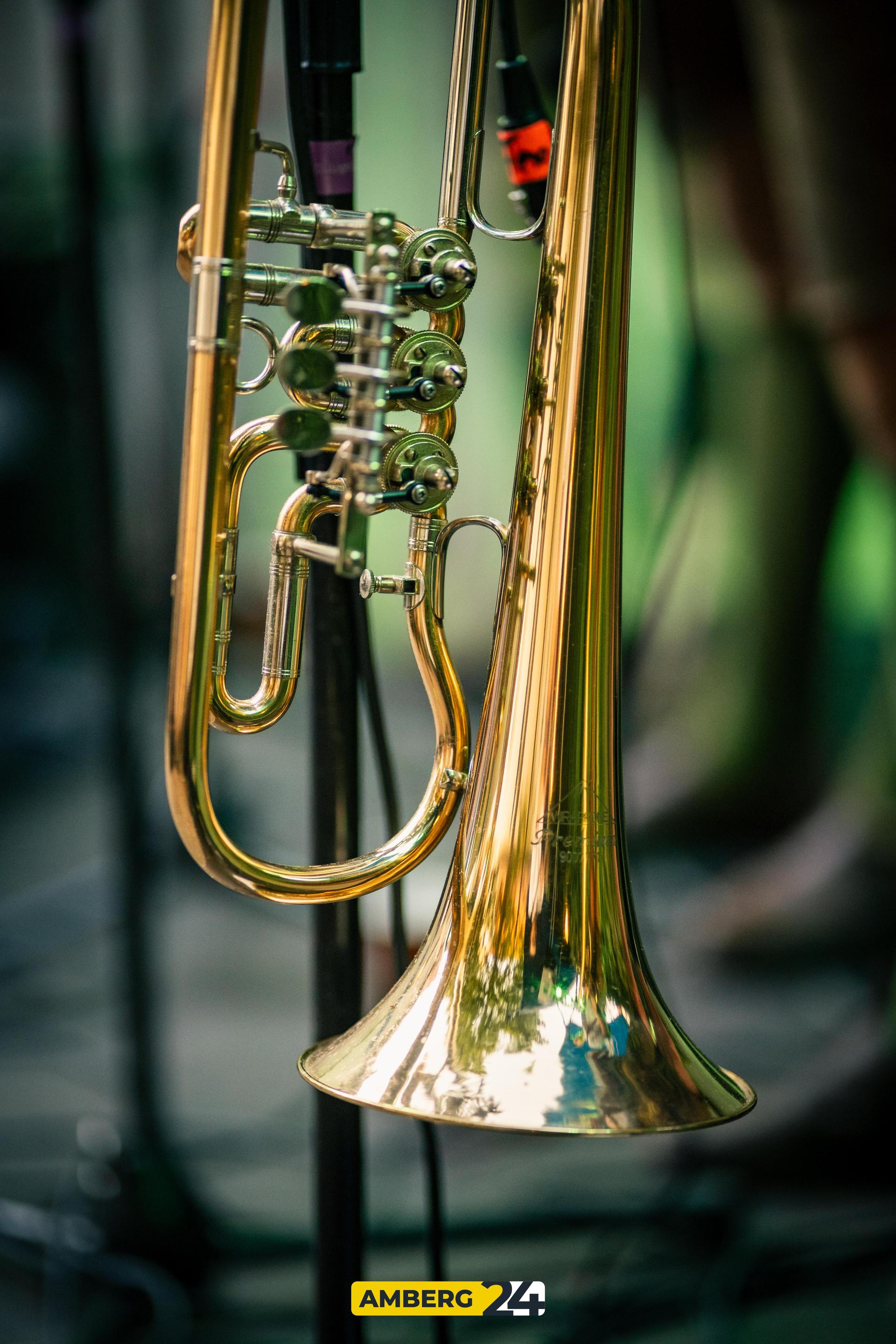 Das sind die Bilder vom Brassfestival im Winkler Biergarten am Donnerstag.  (Bild: Justus Gregor)