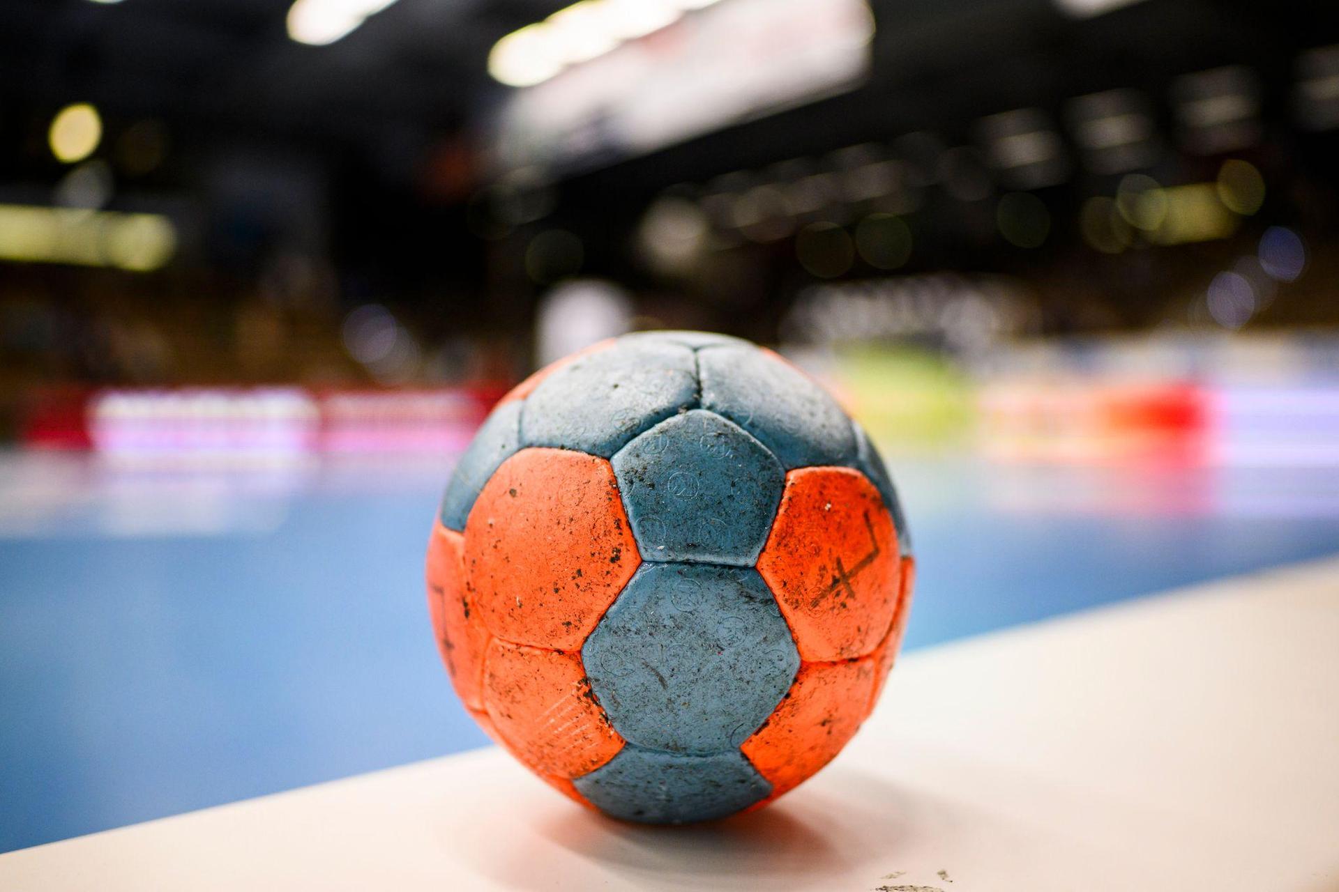 Die A-Junioren des HC Sulzbach haben sich mit einem Sieg gegen den SC Vöhringen die Vizemeisterschaft in der Regionalliga gesichert.  (Symbolbild: Tom Weller/dpa)