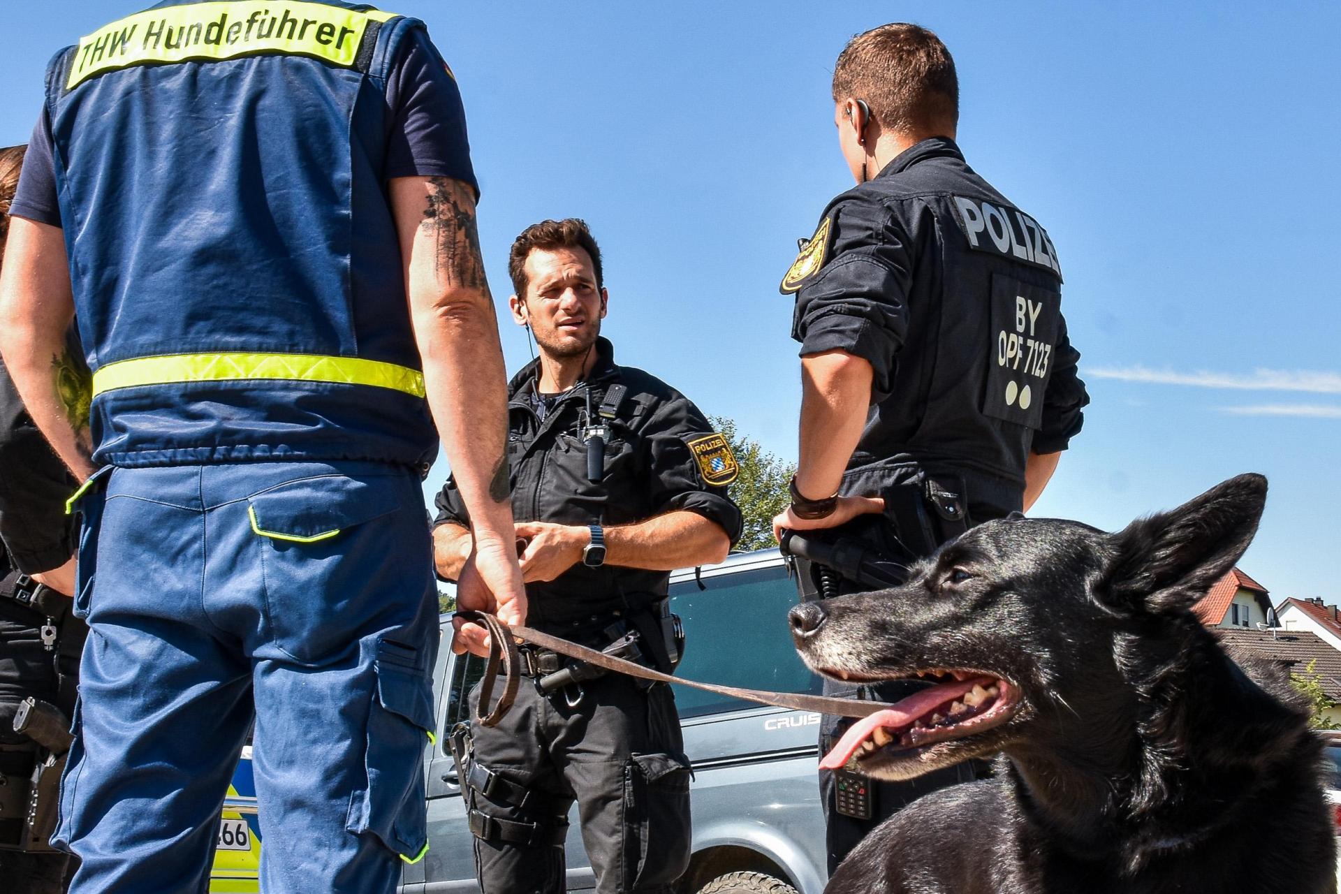 Mit Personen- und Flächensuchhunden war das THW auf der Suche nach dem vermissten Mann aus Poppenricht im Einsatz.  (Bild: Stephan Huber)