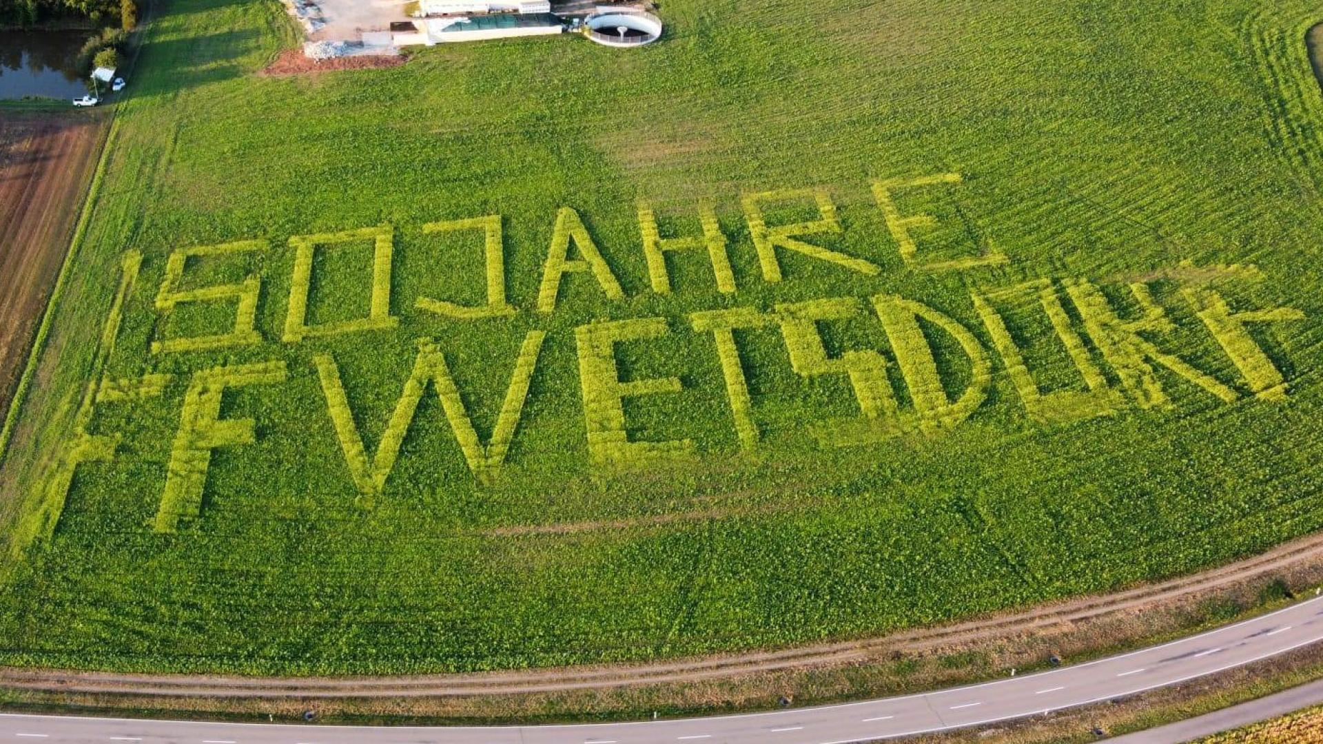 Mit Hilfe von GPS-Technologie säte Feuerwehr-Mitglied Philipp Koch den Schriftzug in ein Feld an der Hauptstraße nach Trisching. Die Buchstaben bestanden aus Senfpflanzen und als Hintergrund diente eine Mischung aus Sonnenblumen und Buchweizen. (Bild: Floian Maiwald/exb)