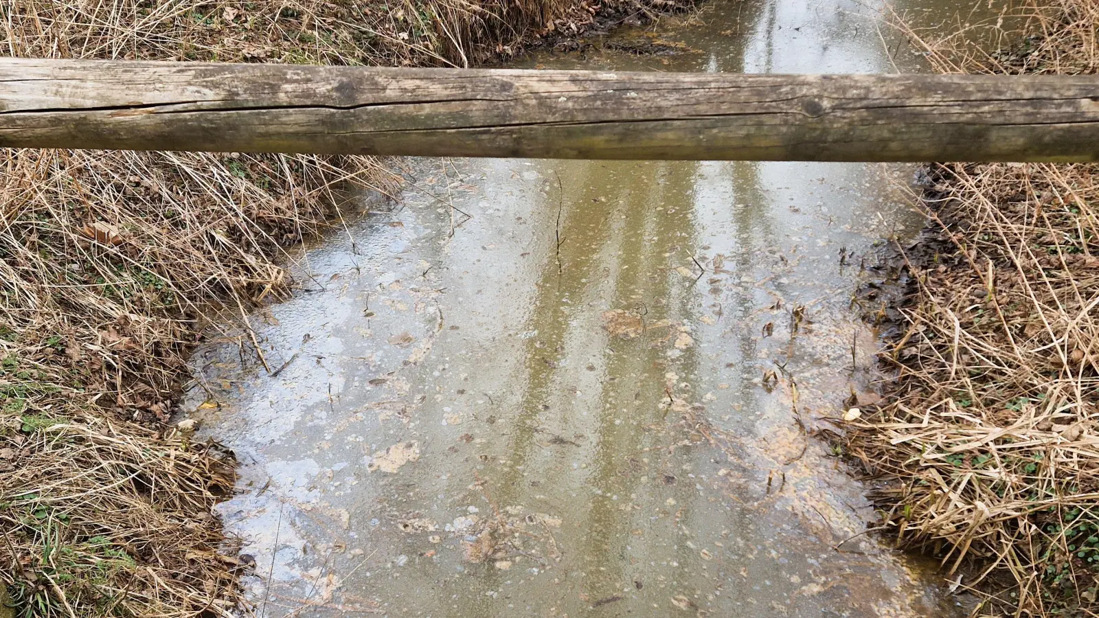 So sieht „Kahmhaut” auf dem Wasser aus.  (Archivbild: Sibylle Sandner)