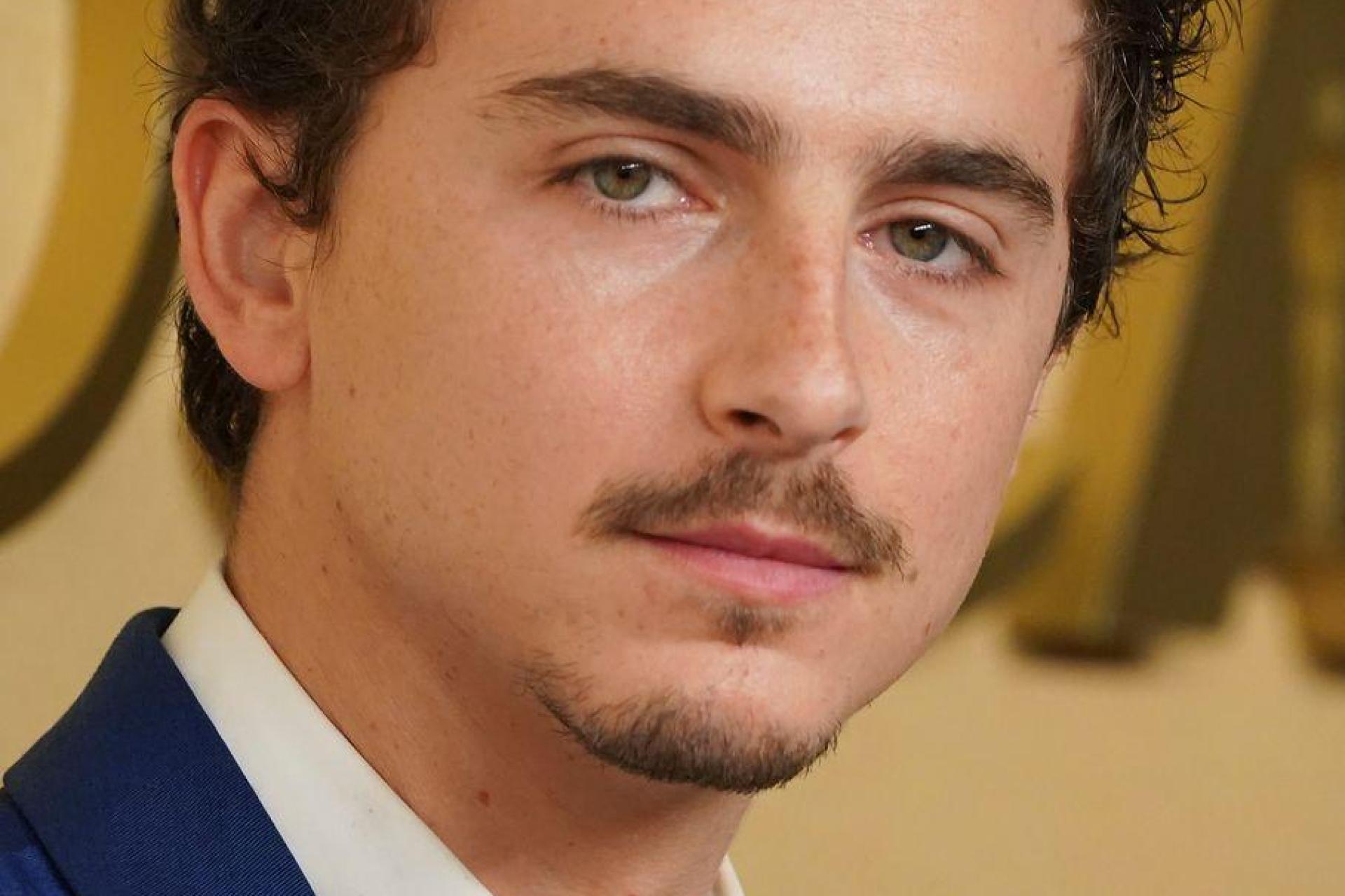 Er gilt als ein Oscar-Favorit: Timothée Chalamet. (Archivbild) (Bild: Jordan Strauss/Invision/AP/dpa)