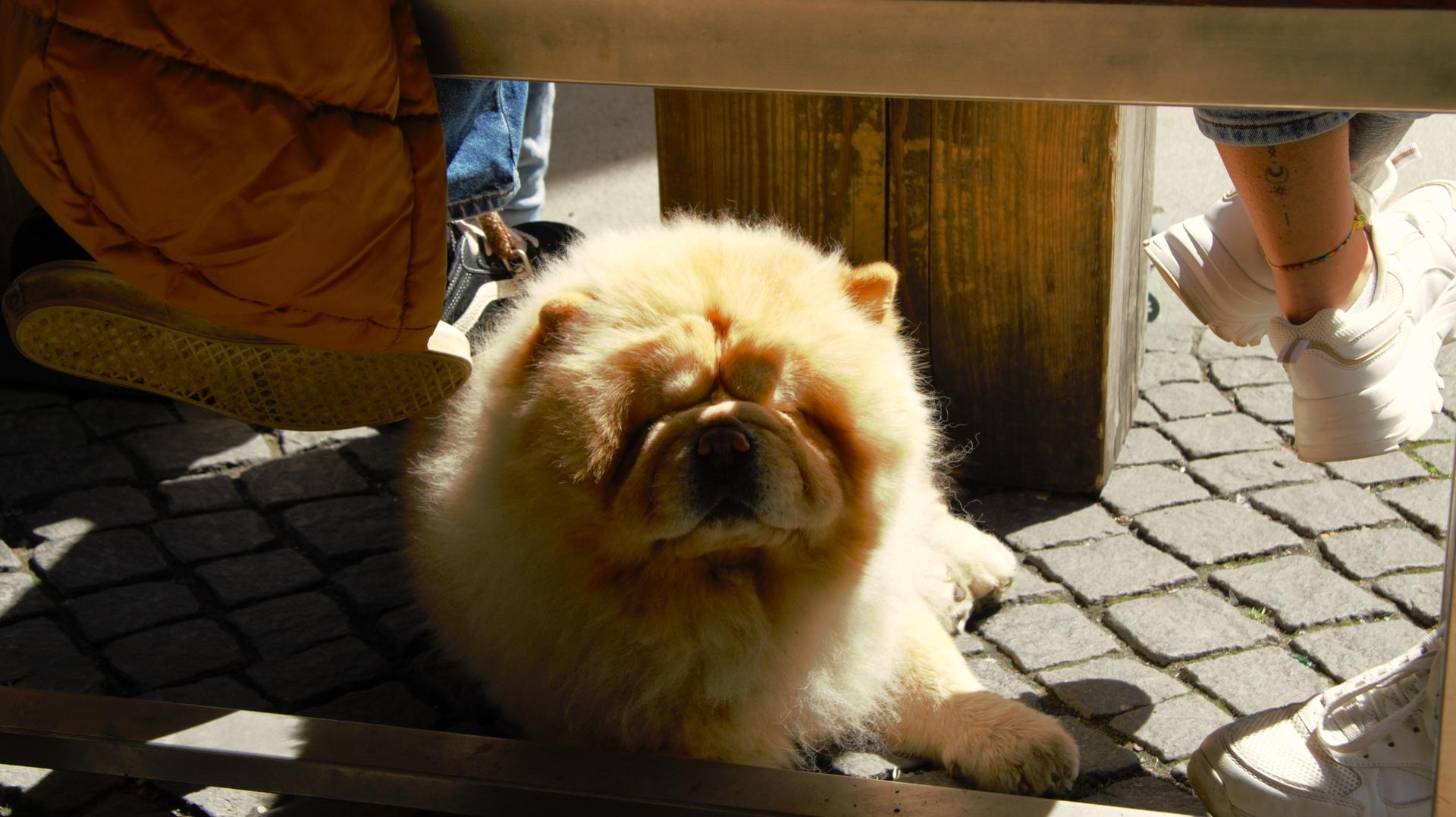 Im warmen Sonnenschein war das Daydrinking im Colomba Entspannung pur. (Bild: Marlin Nixdorf)