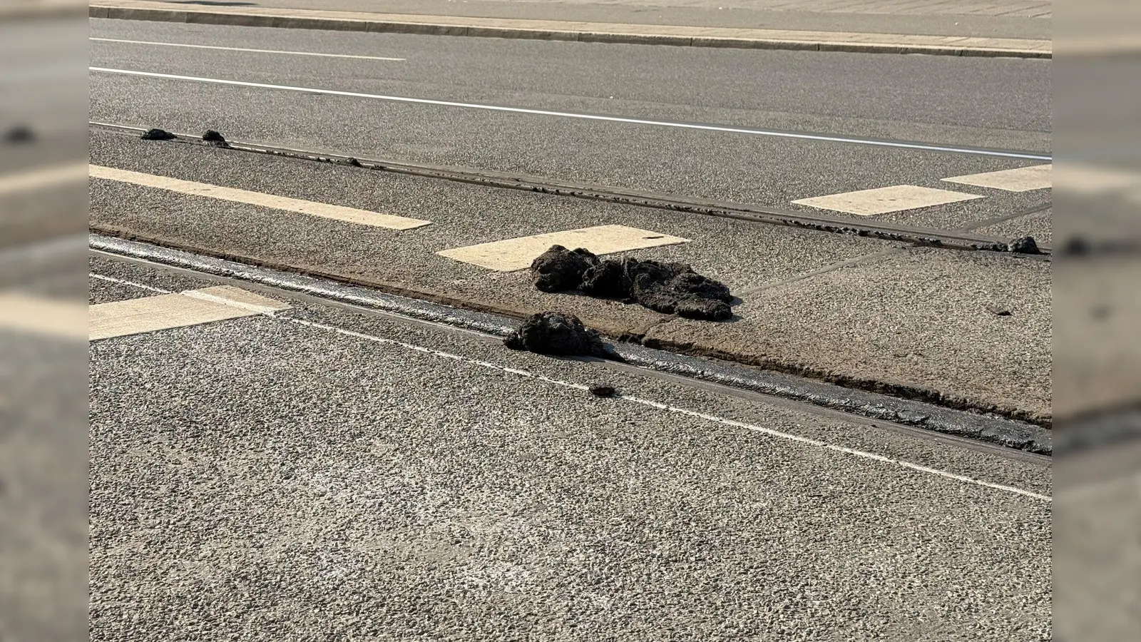 Die Hitze hat den Straßenbelag der VAG zufolge an manchen Stellen so weich werden lassen, dass die Straßenbahnen nicht mehr sicher fahren können.  (Bild: Irena Güttel/dpa)