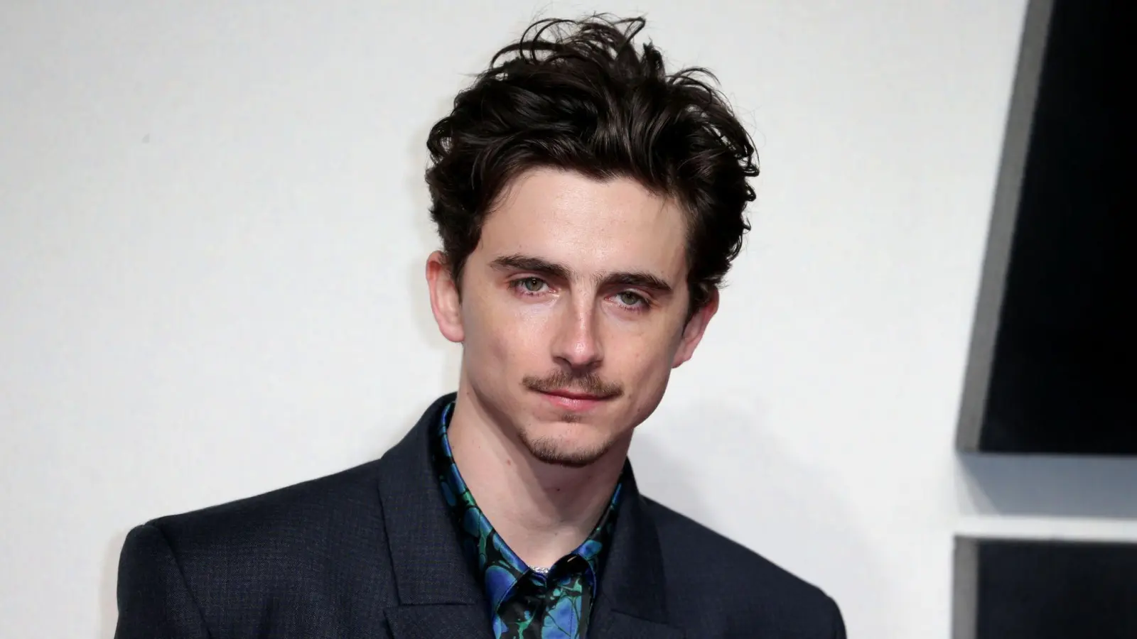 Die Berlinale zeigt „Like a Complete Unknown“ mit Timothée Chalamet als deutsche Premiere. (Archivbild) (Bild: Fred Duval/SOPA Images via ZUMA Press Wire/dpa)