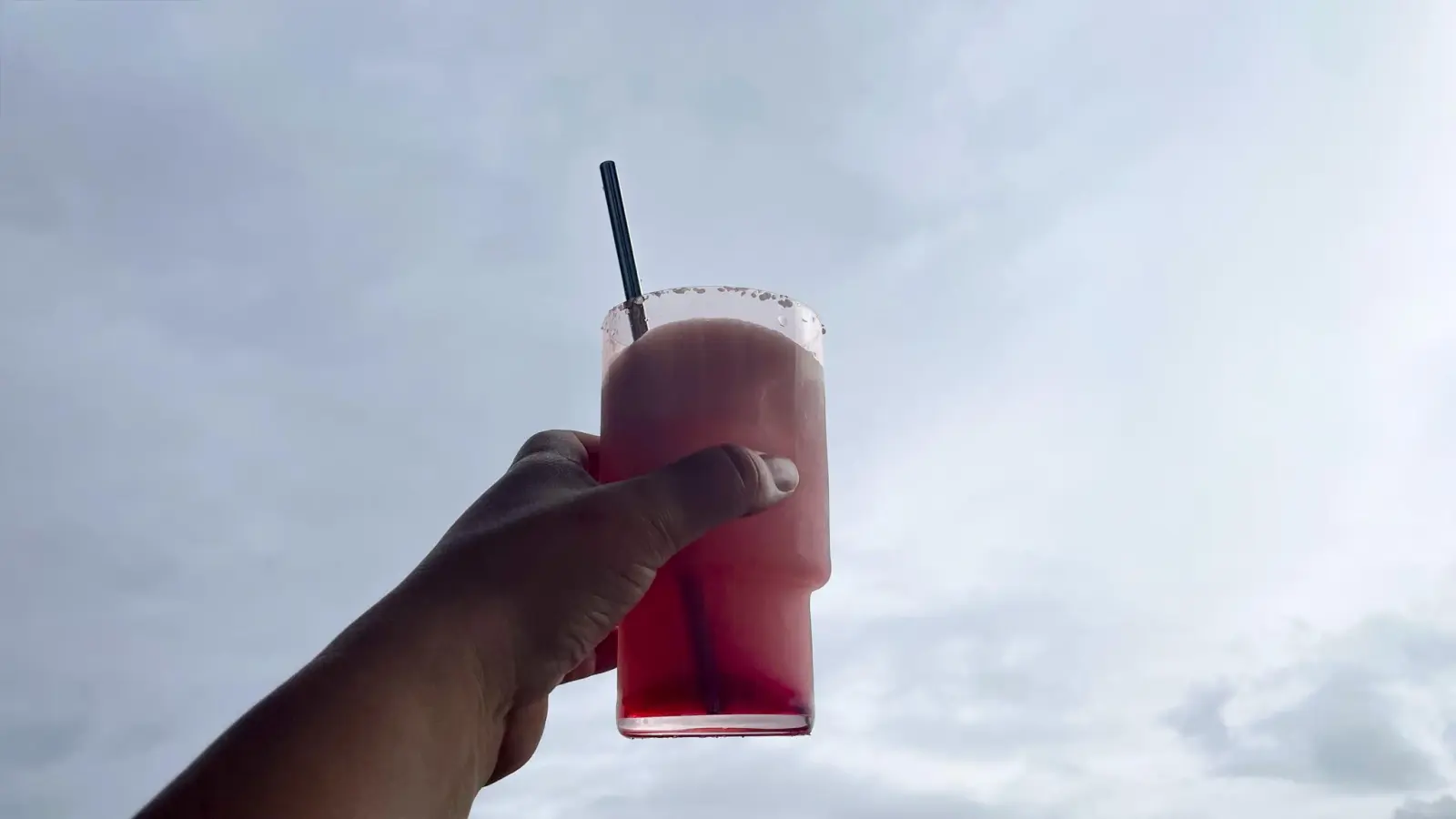 Der weiße Hai ist eigentlich weiß. Außer er greift an. (Bild: knz)