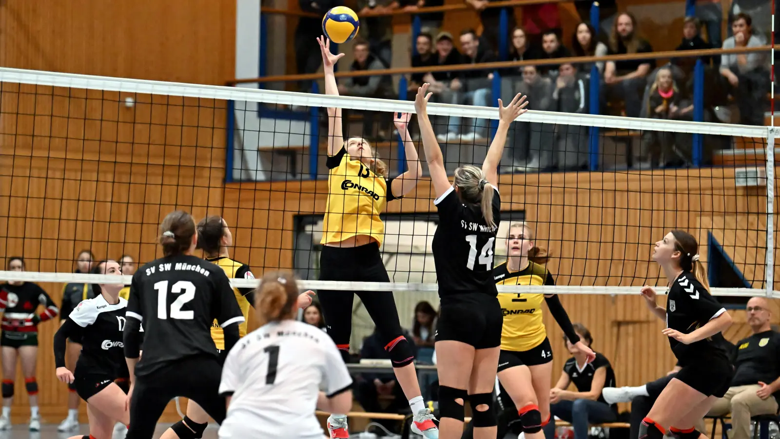 Lisa Großmann (Mitte) vom SV Hahnbach kann in dieser Szene den Ball gefühlvoll über das Netz in die gegnerische Hälfte befördern, beobachtet von Lisa Petermeier und Celine Schüll (von links) sowie Kapitänin Julia Polito (rechts). Der SV Hahnbach siegte mit 3.1. (Bild: Hubert Ziegler)