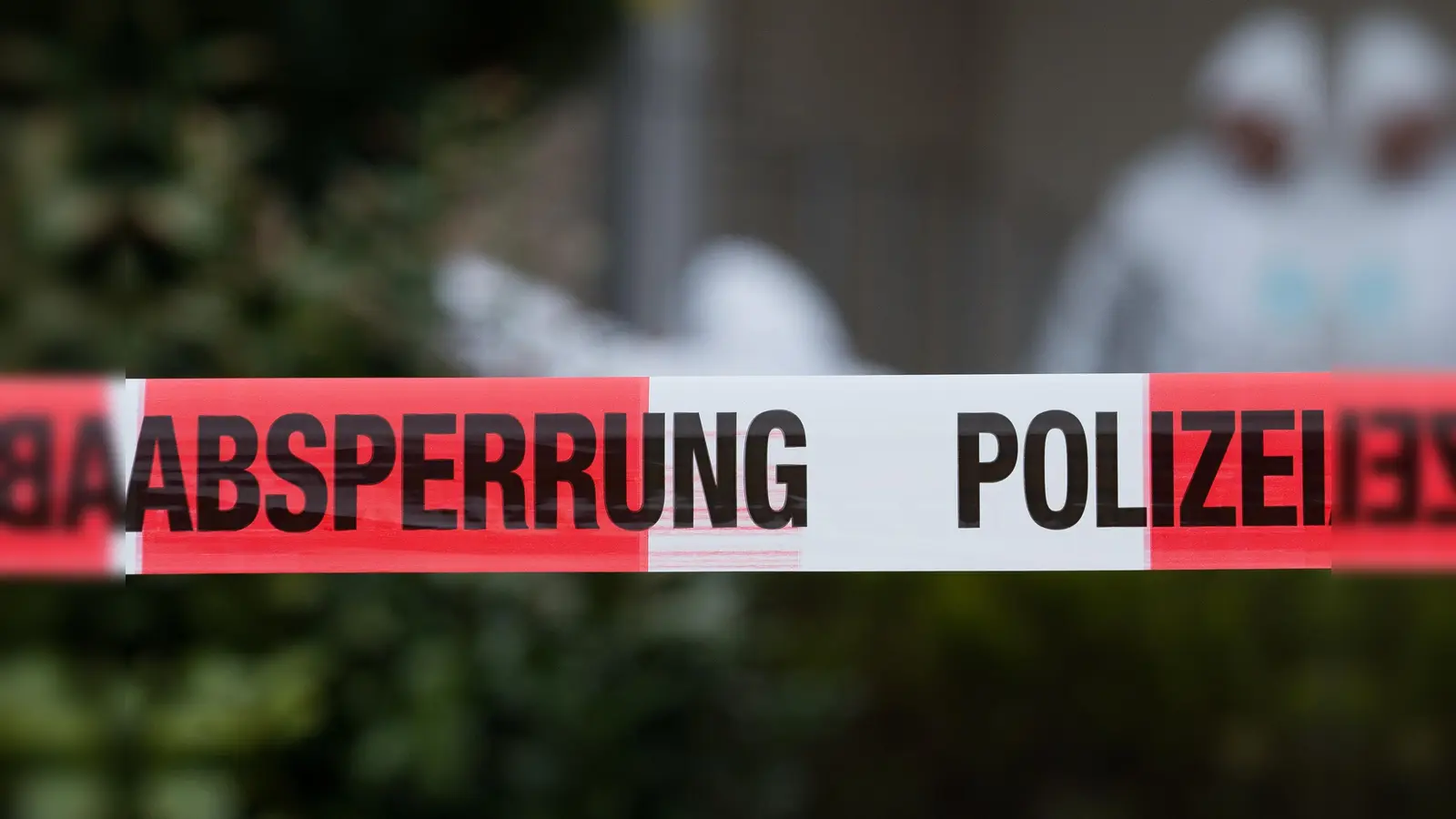 In einem Waldstück bei Ibenthann (Maxhütte-Haidhof) sind menschliche Knochen gefunden worden. (Symbolbild: Friso Gentsch)