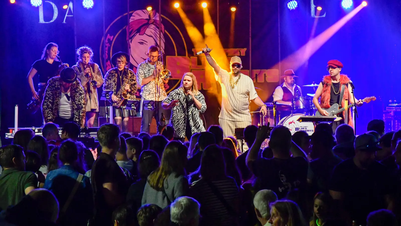 The Funky Blues Rabbits auf dem Altstadtfest in Amberg. (Archivbild: Petra Hartl)