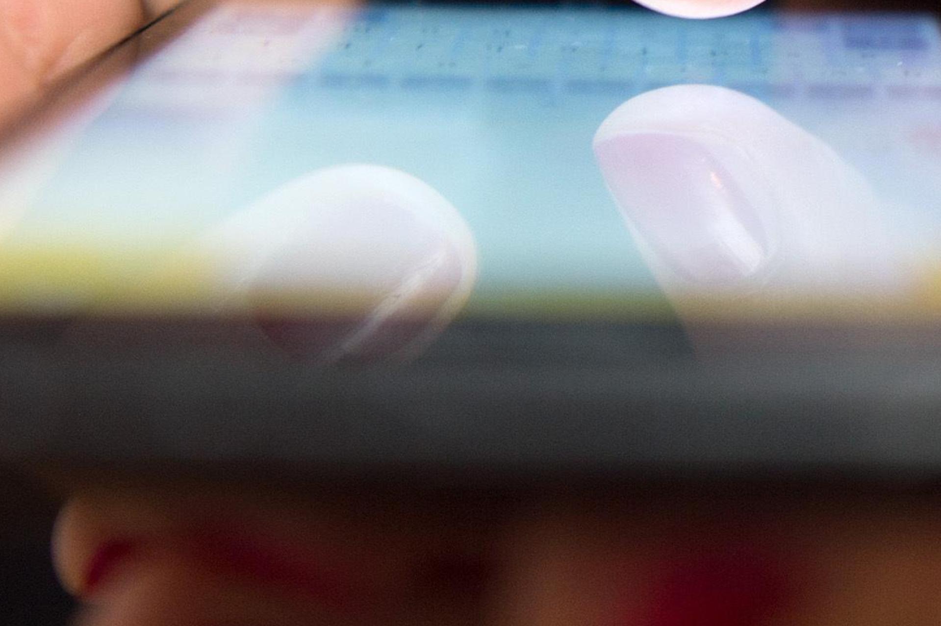 Liebe via Internet kann gefährlich werden. (Symbolbild: Sebastian Gollnow/dpa)