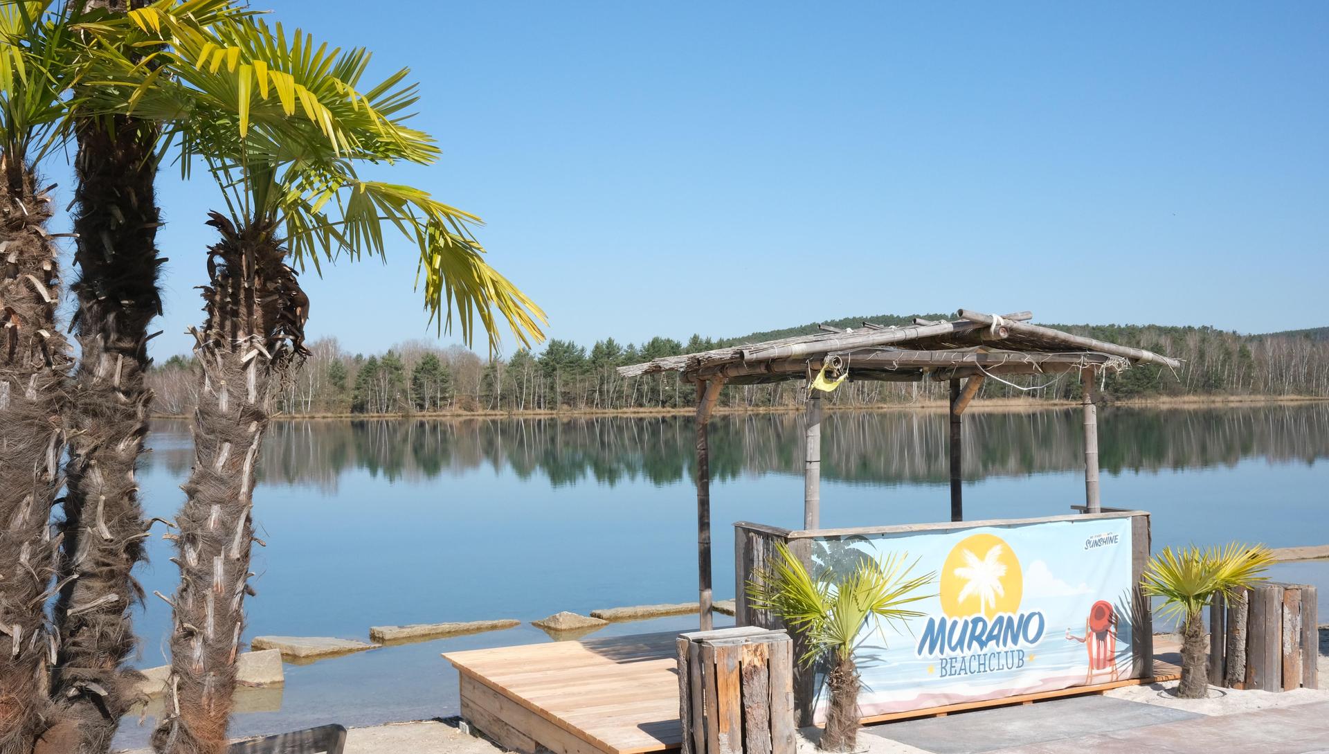 Ein Hauch von Karibik am Murner See: Palmen, Strandbar und Wasser laden zum Relaxen ein.  (Bild: Hirsch)