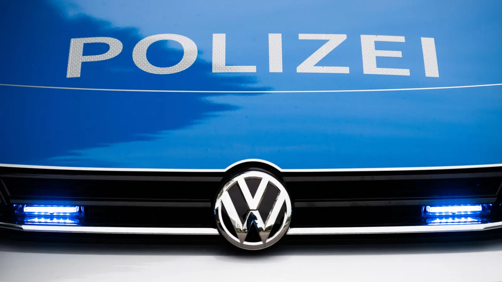 Nachdem eine Zeugin sagte, ein Rentner würde seinen Welpen schlagen, hat die Sulzbach-Rosenberger Polizei nach dem Rechten gesehen.  (Symbolbild: Lino Mirgeler)