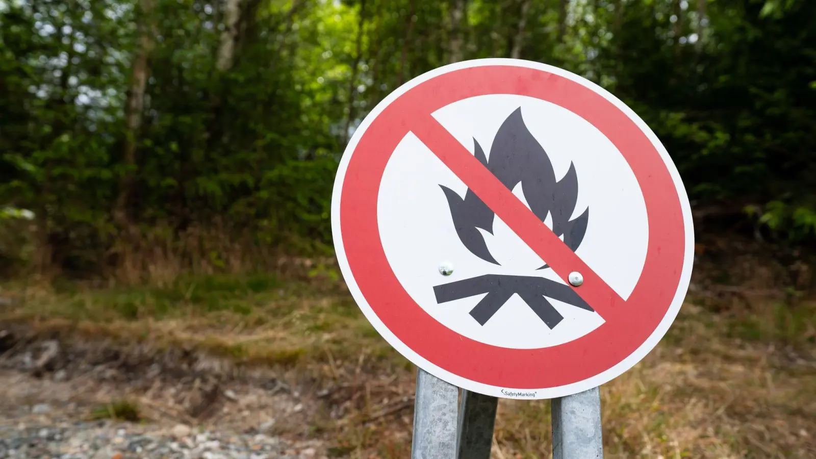 Am Wochenende könnte die Waldbrandgefahr in Bayern teilweise auf die höchste der fünf Warnstufen steigen. (Archivbild) (Bild: Nicolas Armer/dpa)