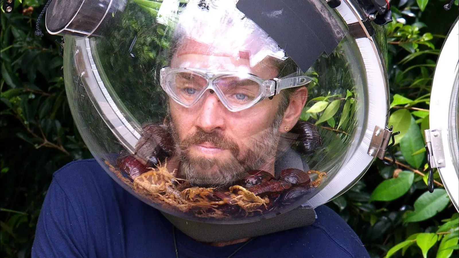 Auch das krabbeligste Getier konnte ihn nicht stoppen: Musiker Gil Ofarim ist Dschungelkönig.  (Bild: RTL/dpa)