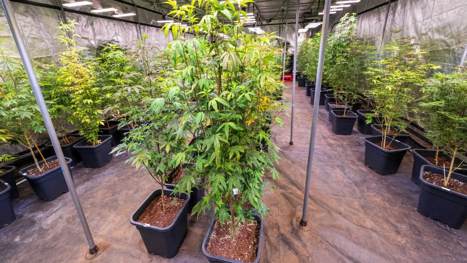 28 Antragsteller warten in Bayern auf eine Genehmigung. (Archivbild) (Bild: Peter Kneffel/dpa)