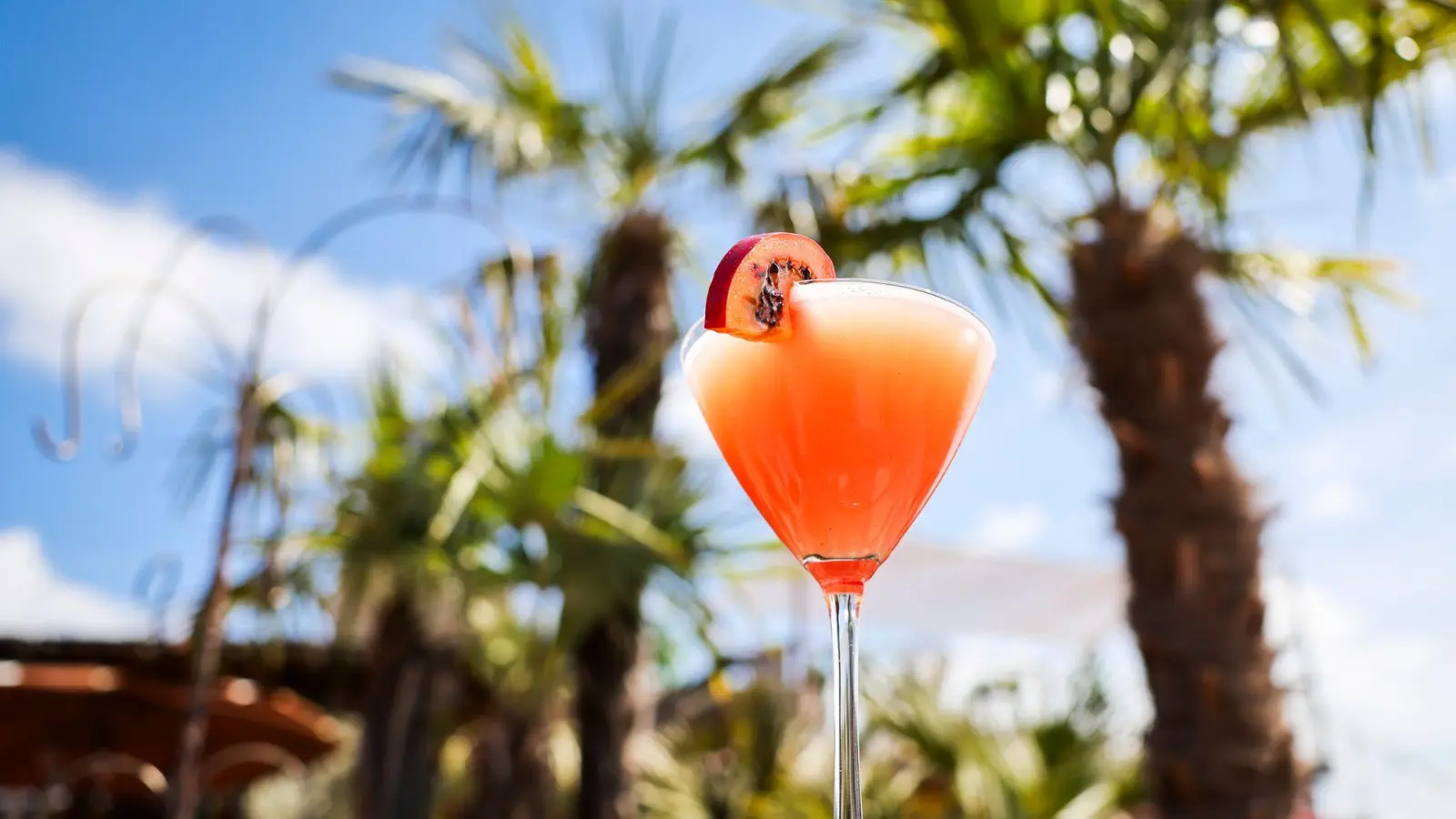 Ein letzter Sommer-Cocktail, bevor der Herbst beginnt, und zwar in Raigering auf dem Summer-End-Festival (Symbolbild: Christian Charisius/dpa)