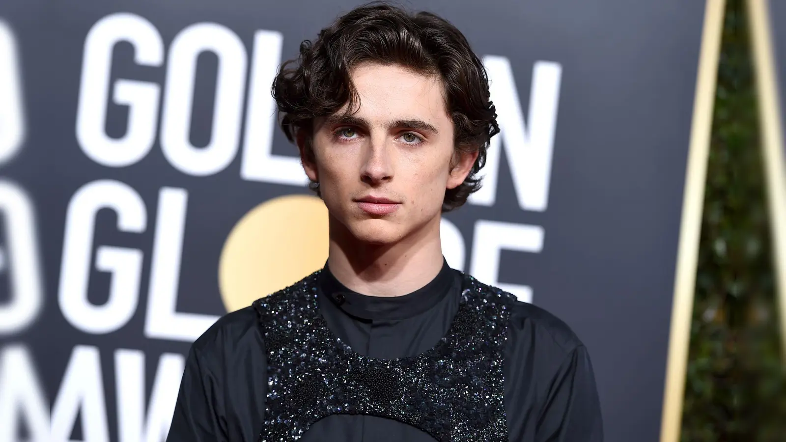 Mit naselnder Stimme spielt Timothée Chalamet den Folk-Sänger Bob Dylan. (Archivbild)  (Bild: Jordan Strauss/Invision/AP/dpa)