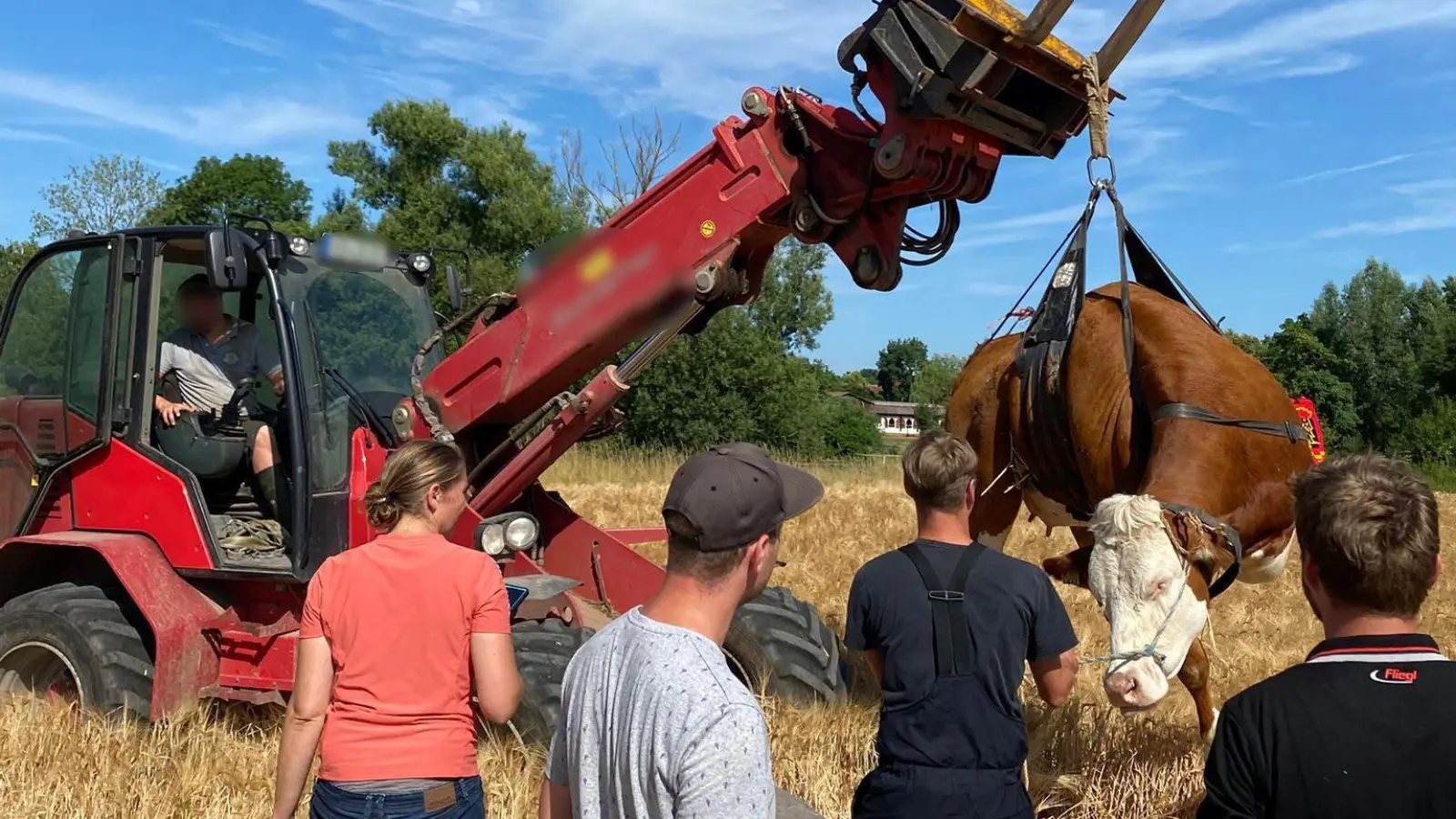 Die Freiwillige Feuerwehr Hahnbach hat einem Landwirt beim Einfangen einer entlaufenen Kuh geholfen. (Bild: Freiwillige Feuerwehr Hahnbach)