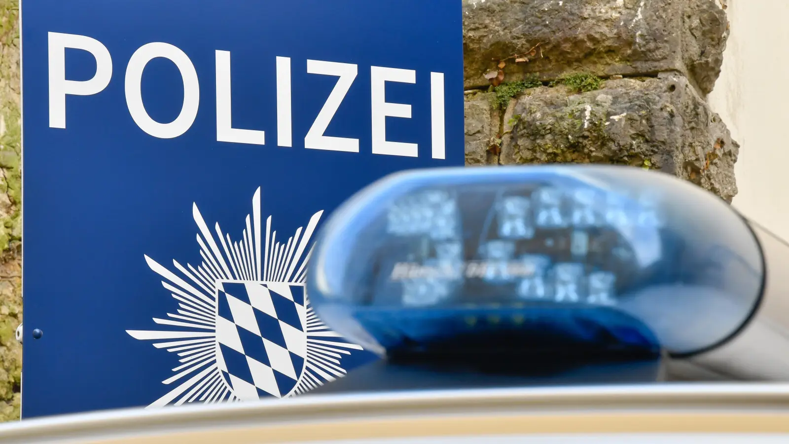In Sorghof wurde ein hochwertiges Pedelec der Marke GIANT gestohlen. Die Polizei Vilseck bittet um Hinweise. (Symbolbild: Polizei Bayern)