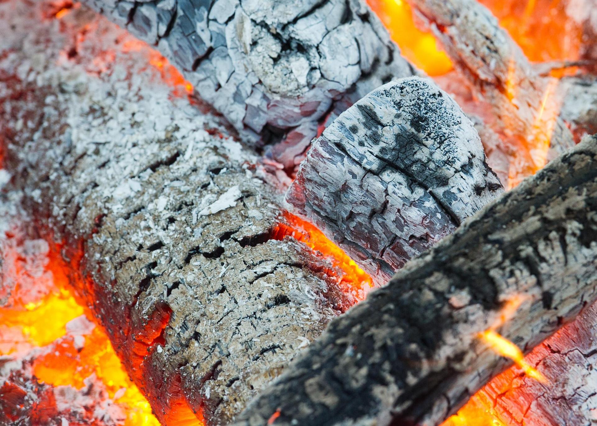 Ein Unbekannter drang in einen Garten in Amberg ein und entzündete dort ein Lagerfeuer. (Symbolbild: Patrick Pleul/dpa)
