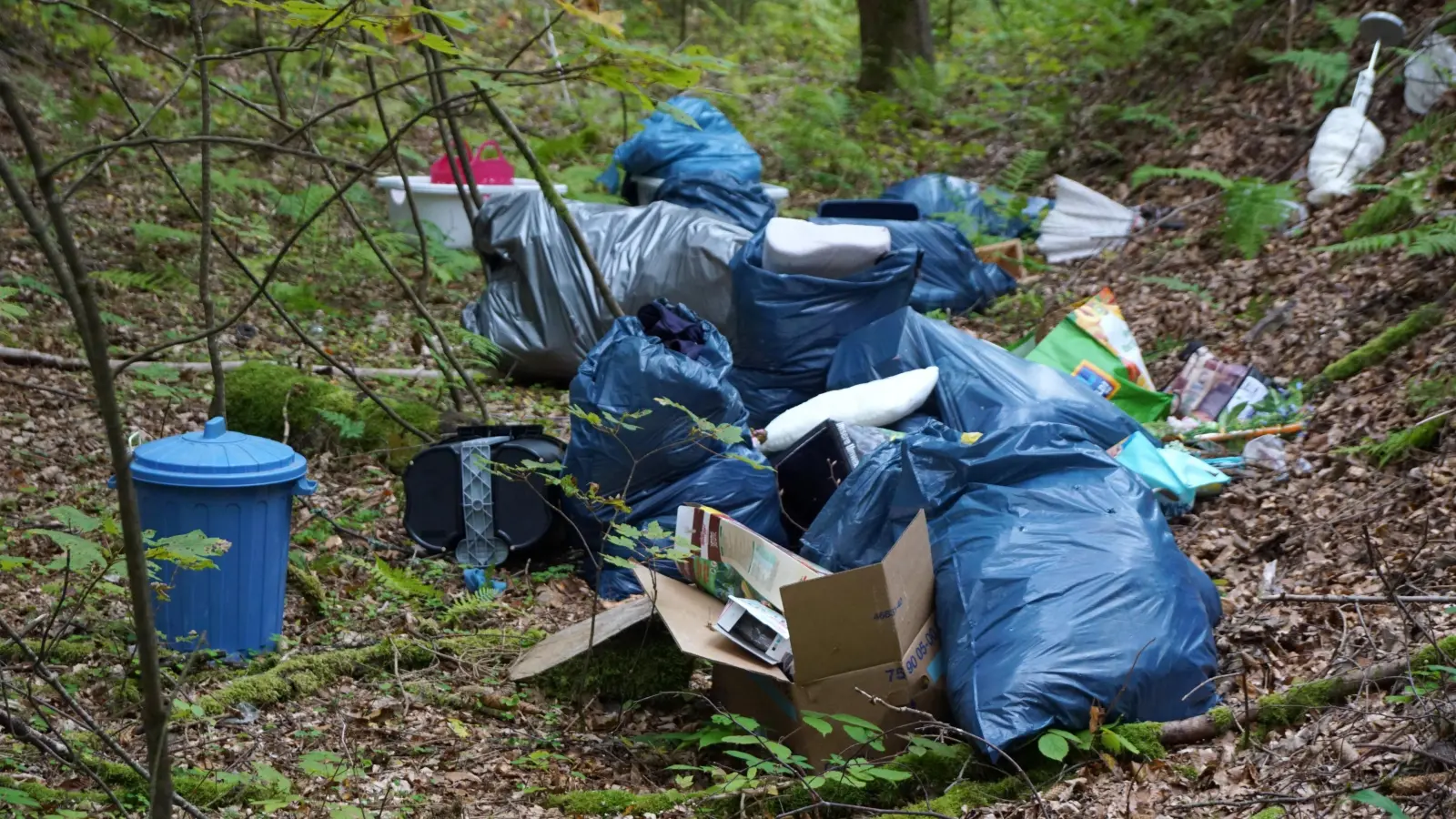Das ist zwar nur ein Symbolbild, doch so ähnlich sah es in einem Waldstück nahe Ranna bei Auerbach wohl auch aus: Dort hatte ein Senior Plastiktüten und Farbeimer illegal im Wald entsorgt.  (Symbolbild: bkr)