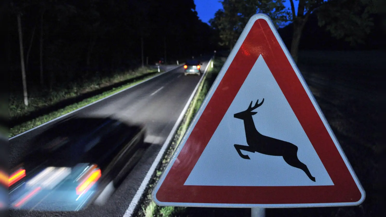 Eine Vollbremsung wegen eines Wildwechsels führte bei Immenstetten zu einem Auffahrunfall mit zwei Verletzten. (Symbolbild: Martin Schutt)