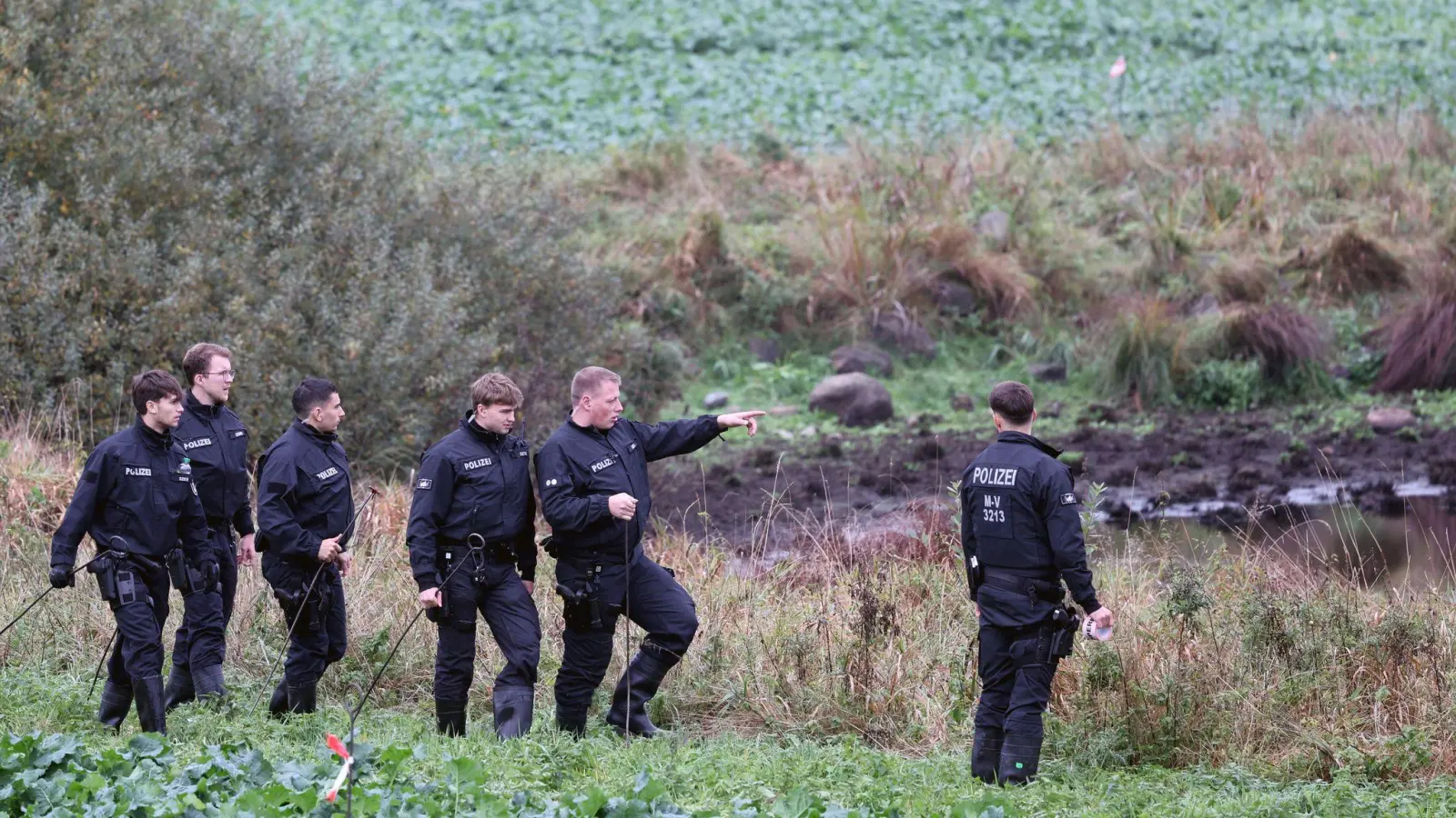 Die Obduktion des bei Güstrow gefundenen toten Kindes hat gezeigt: Es ist einer Gewalttat zum Opfer gefallen. (Bild: Bernd Wüstneck/dpa)
