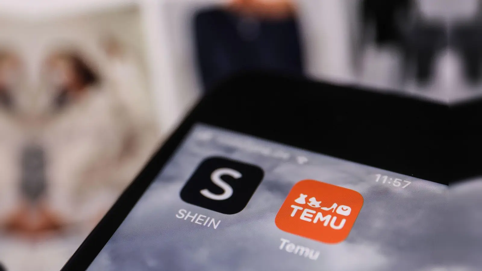 Shein und Temu sind zwei der bekanntesten asiatischen Shoppingplattformen. (Archivbild) (Bild: Oliver Berg/dpa)