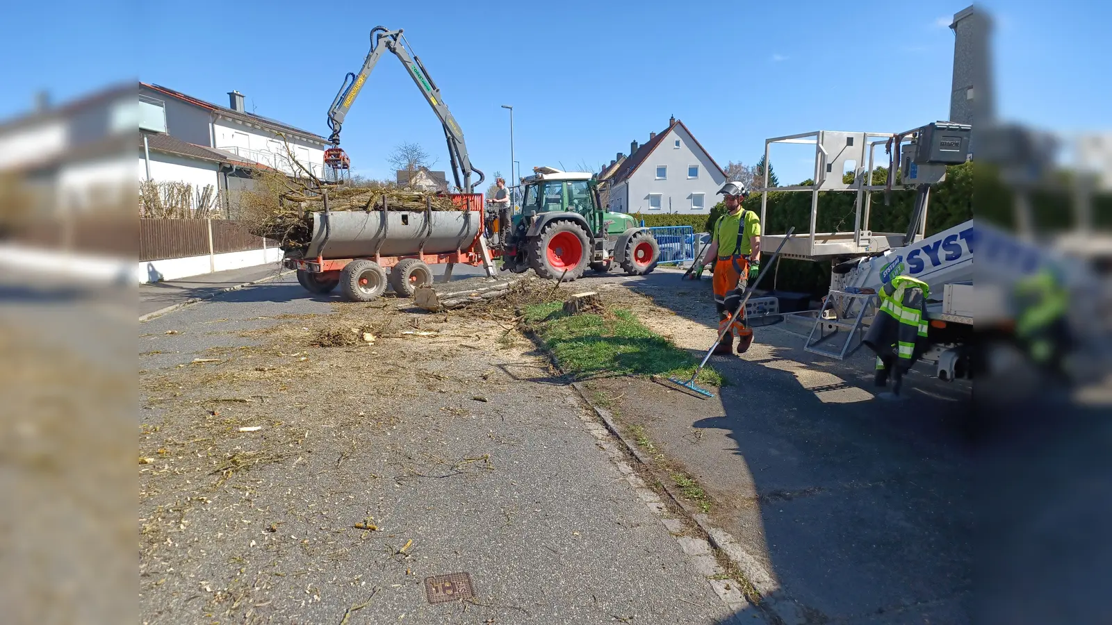 Die Robinie in der Katharinenfriedhofstraße in Amberg wurde aus Sicherheitsgründen gefällt.  (Bild: Thomas Penzkofer)