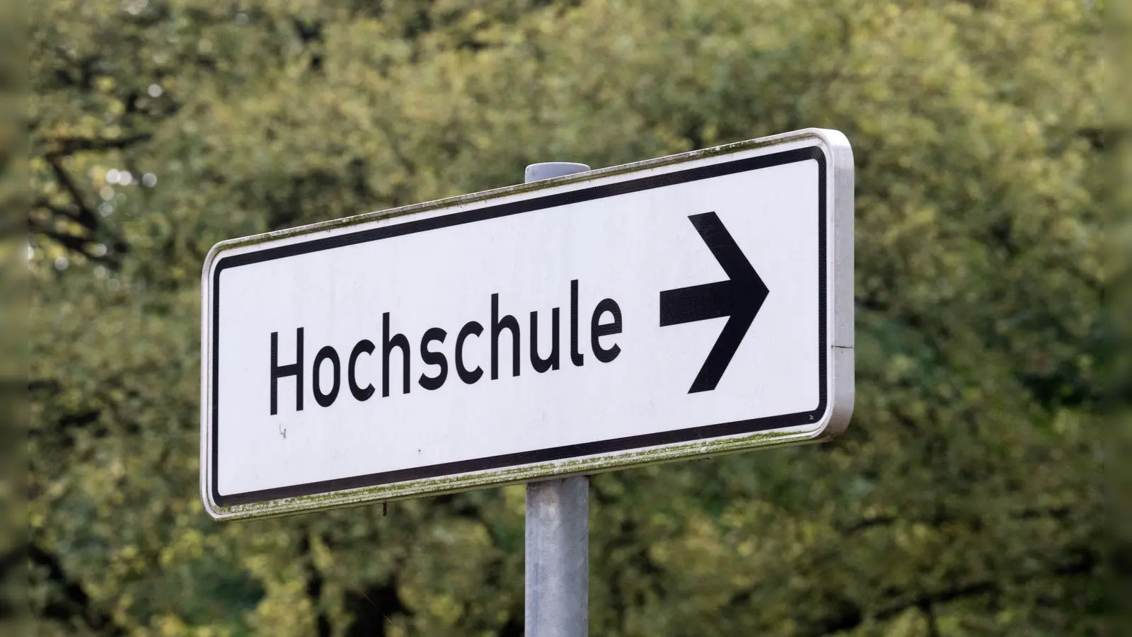 An sämtlichen Hochschulen in Bayern kann nun der Doktortitel erworben werden (Symbolbild). (Bild: Soeren Stache/dpa)