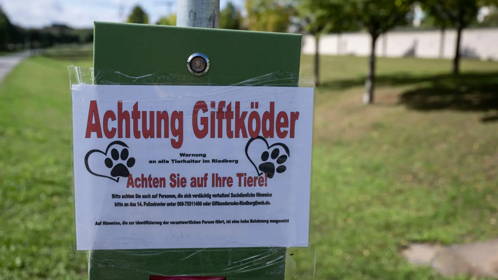 Ein Giftköder wäre einer Französischen Bulldogge in Amberg fast zum Verhängnis geworden.  (Symbolbild: Boris Roessler/dpa)