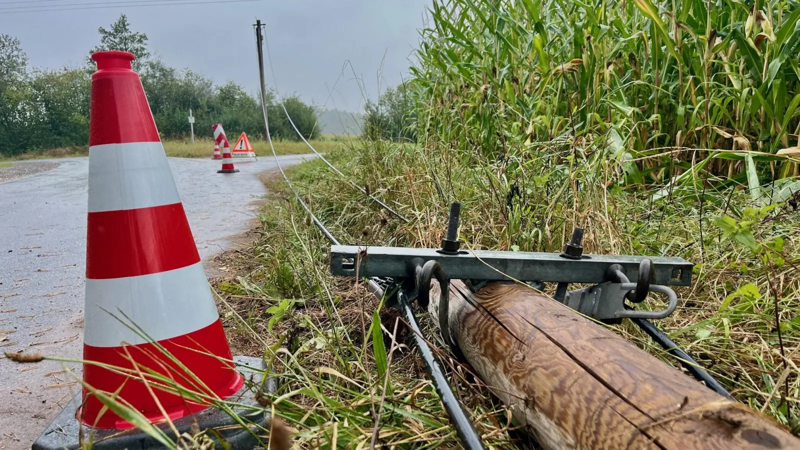 Ein Autofahrer rammt einen Telefonmast, das Auto kommt im Maisfeld zum stehen.  (Bild: Gabi Schönberger)