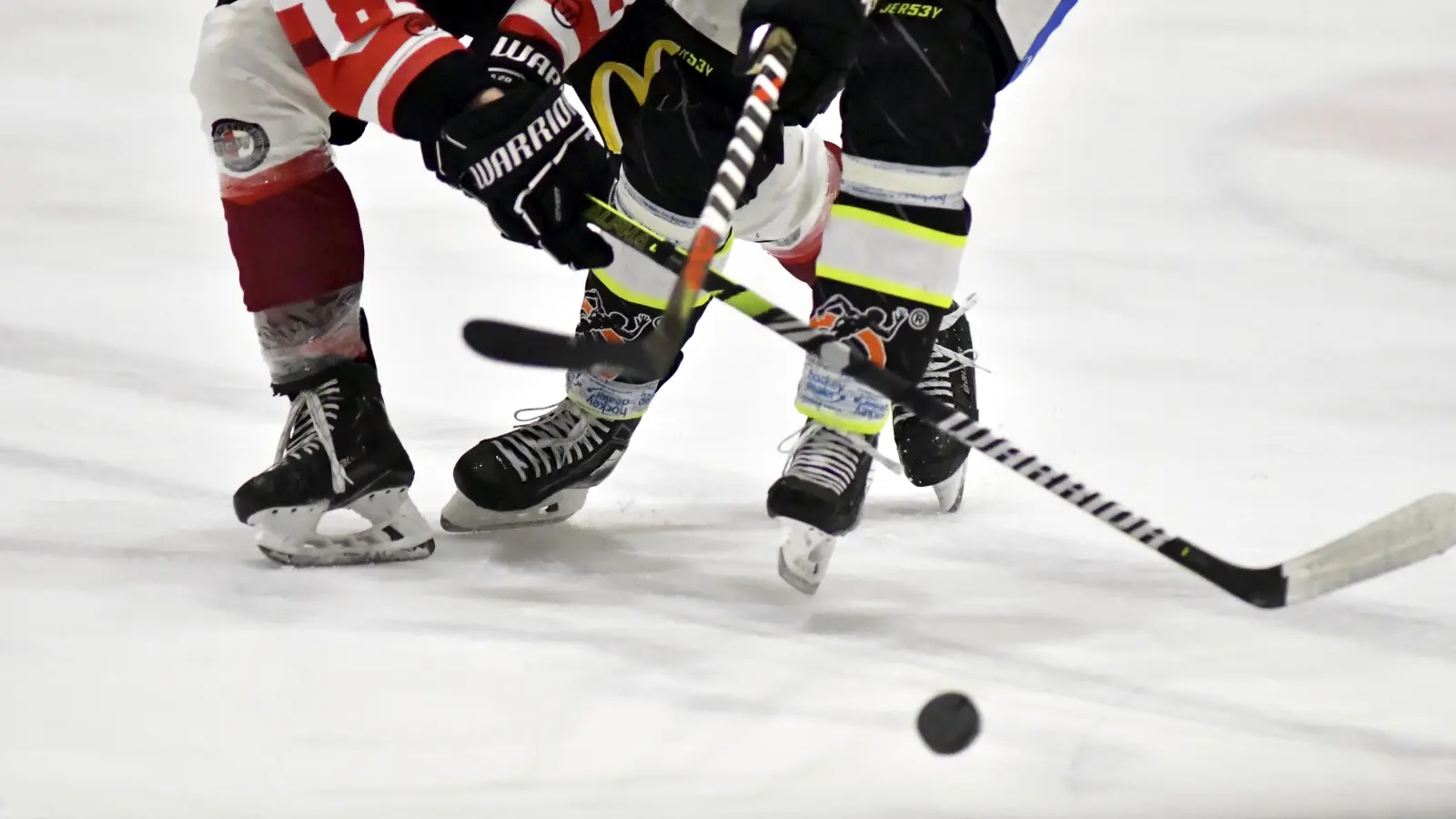 Beim EV Dingolfing gingen die Wild Lions sang- und klanglos mit 2:12 unter. (Archivbild: Hubert Ziegler)