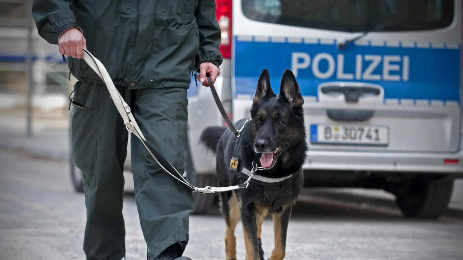 Die Polizei suchte in Bad Kötzting unter anderem mit Hunden nach einem vermissten Mädchen.  (Symbolbild: Jan-Philipp Strobel/dpa)