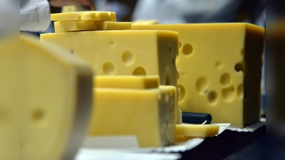 Ein Polizist hat rund 180 Kilogramm Cheddar-Käse aus einem umgekippten Lkw gestohlen. (Symbolbild: Harald Tittel)